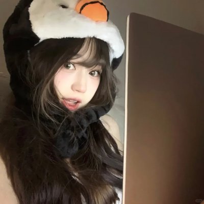 公主复仇者